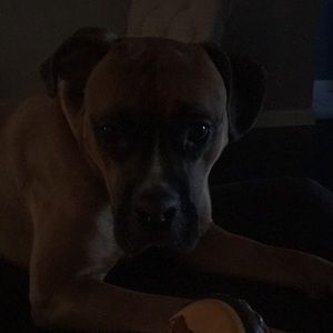 Meet your Posher, Andy